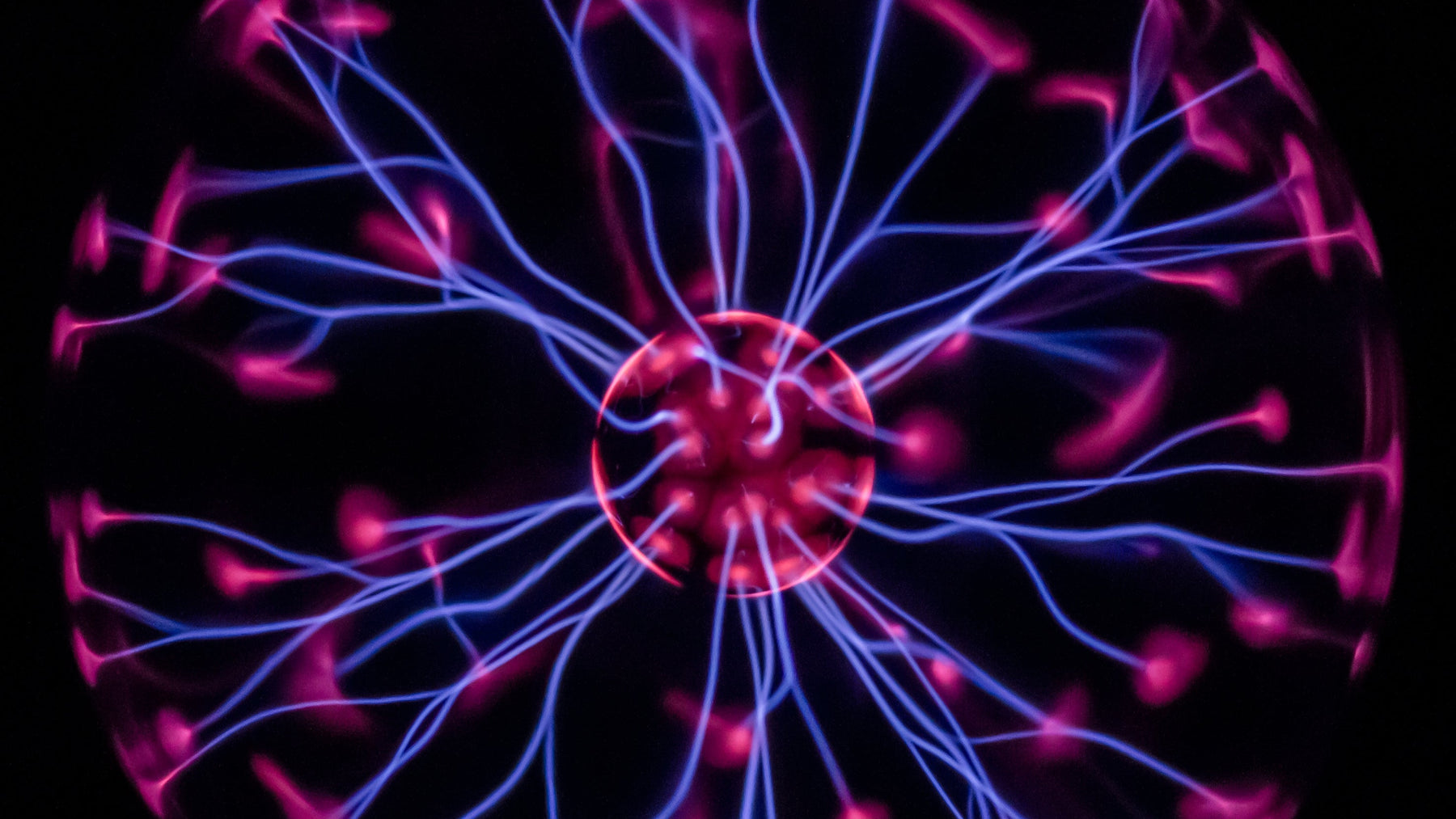 The electric bomb By Lunara