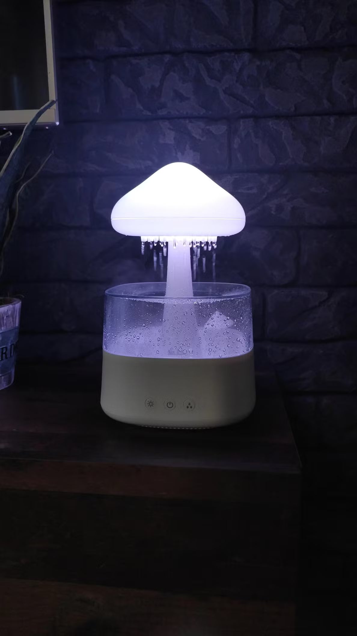 The Rain Mushroom By Lunara